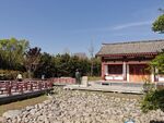 公园景色