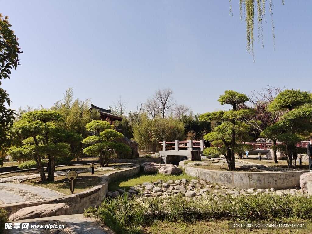 公园景色