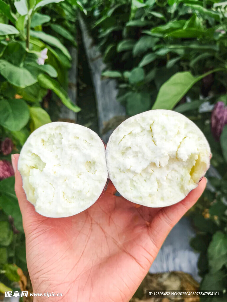 茄子
