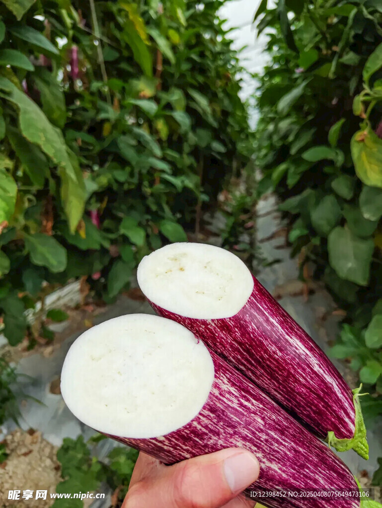 茄子