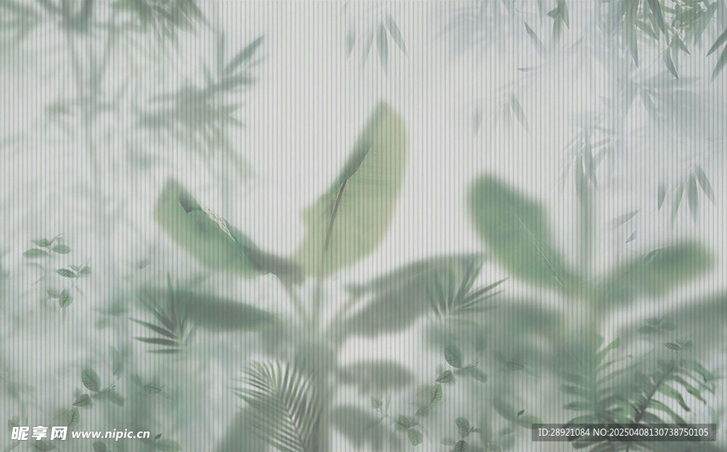 绿植朦胧感