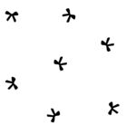 蝴蝶结