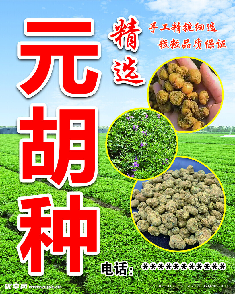 元胡广告海报