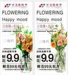 鲜花特惠