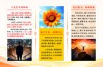 企业文化宣传推广