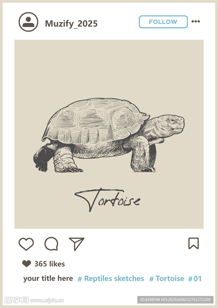 陆龟手绘稿