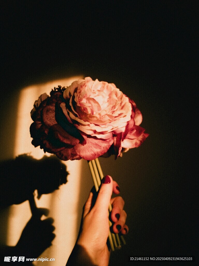 牡丹