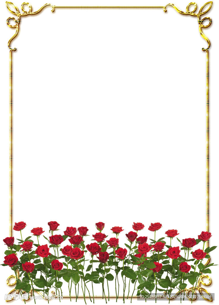 花边框