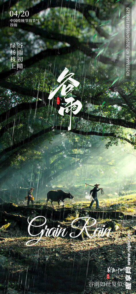 谷雨节气摄影图合成海报