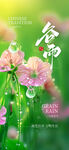 摄影谷雨节气海报