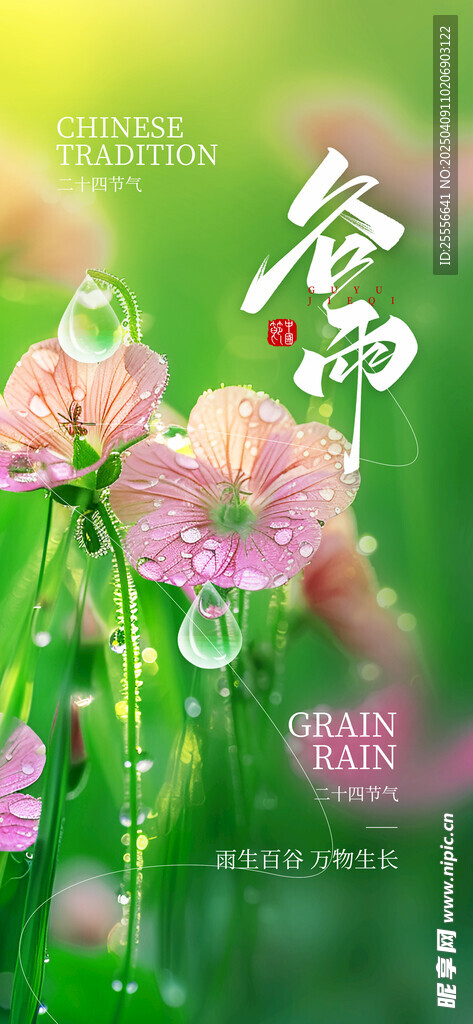 摄影谷雨节气海报