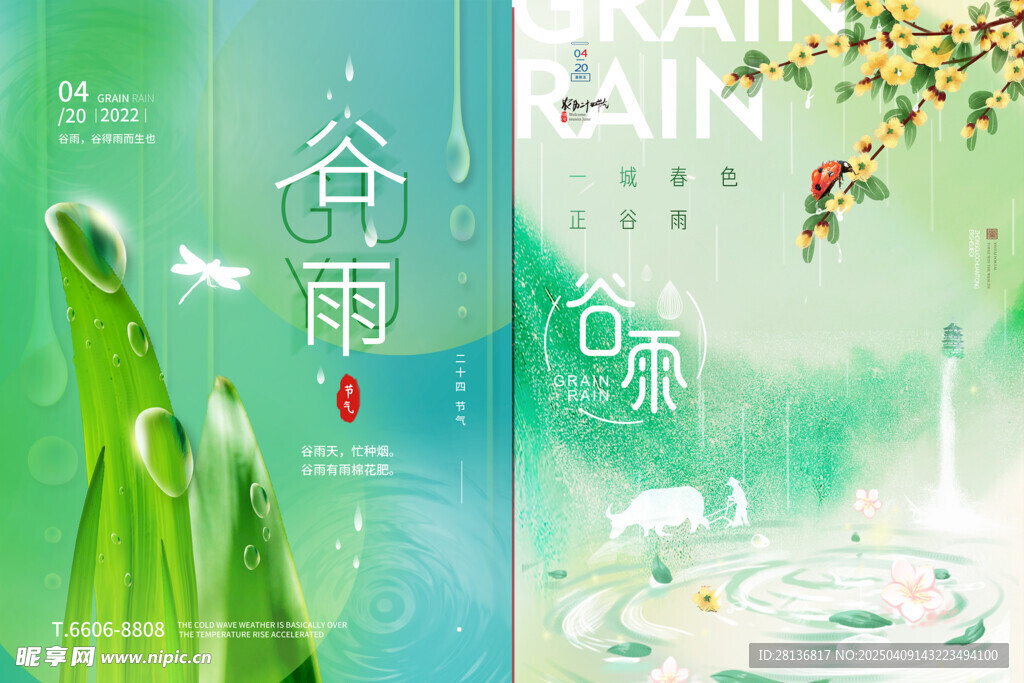 谷雨