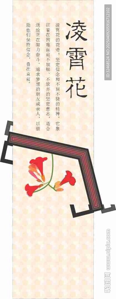 凌霄花