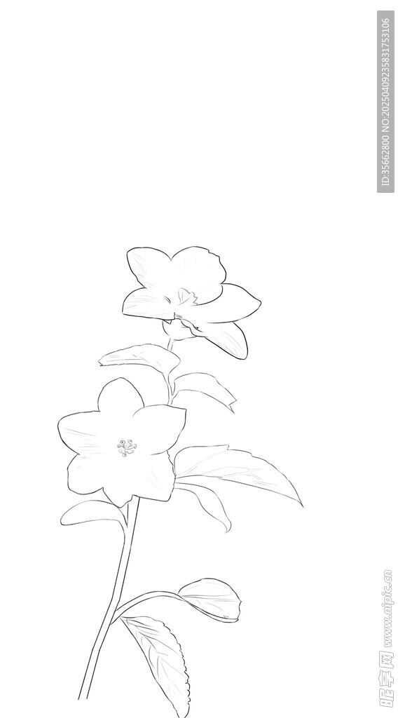 花朵有涂色可修改涂色