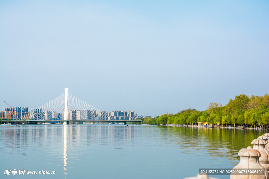 斜拉桥都市景观