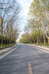 道路春景