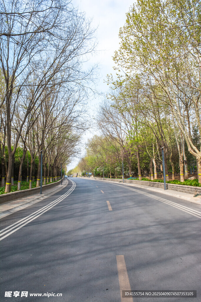 道路春景