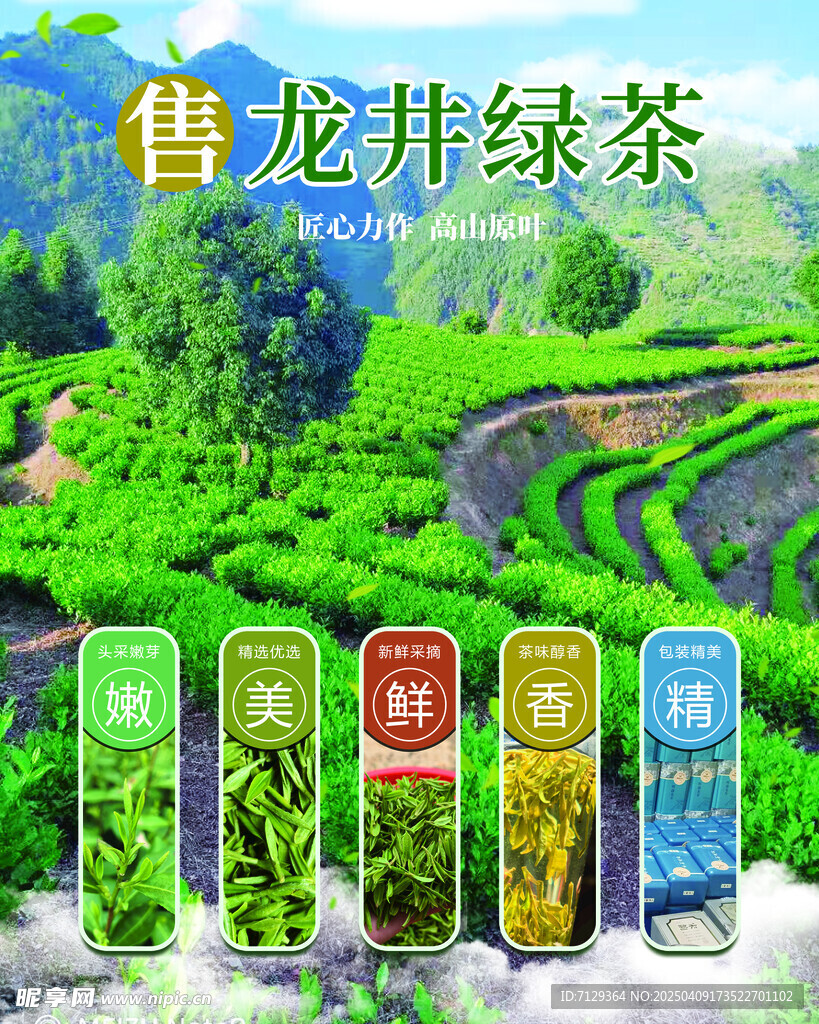 龙井茶
