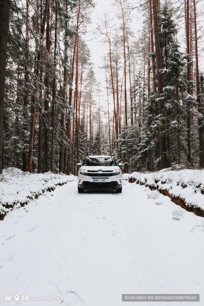 雪地汽车