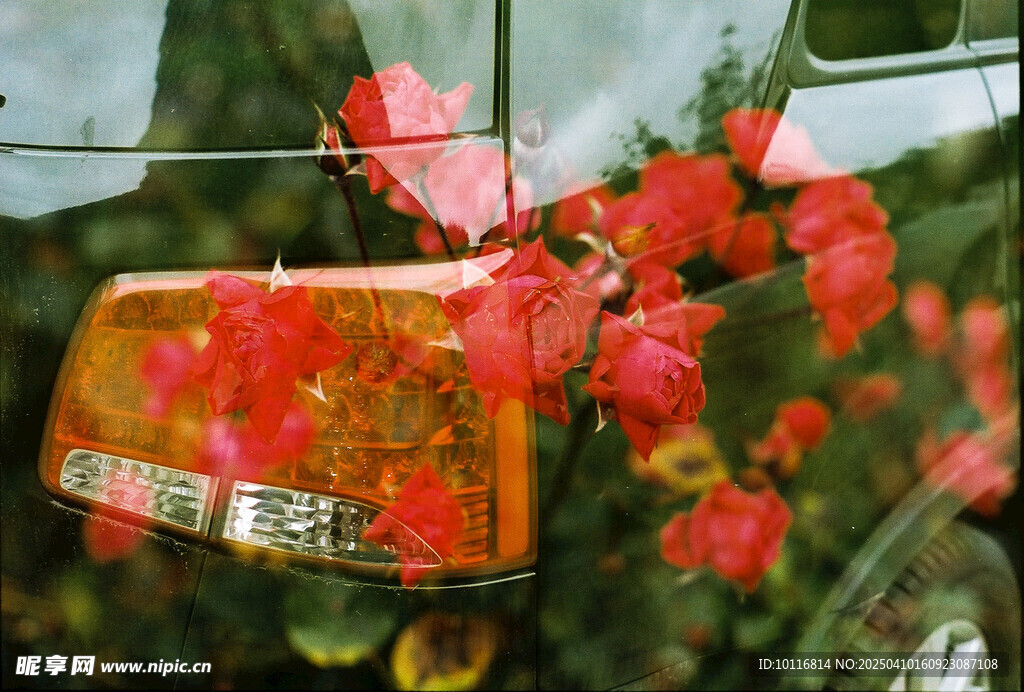 黑色汽车车尾灯