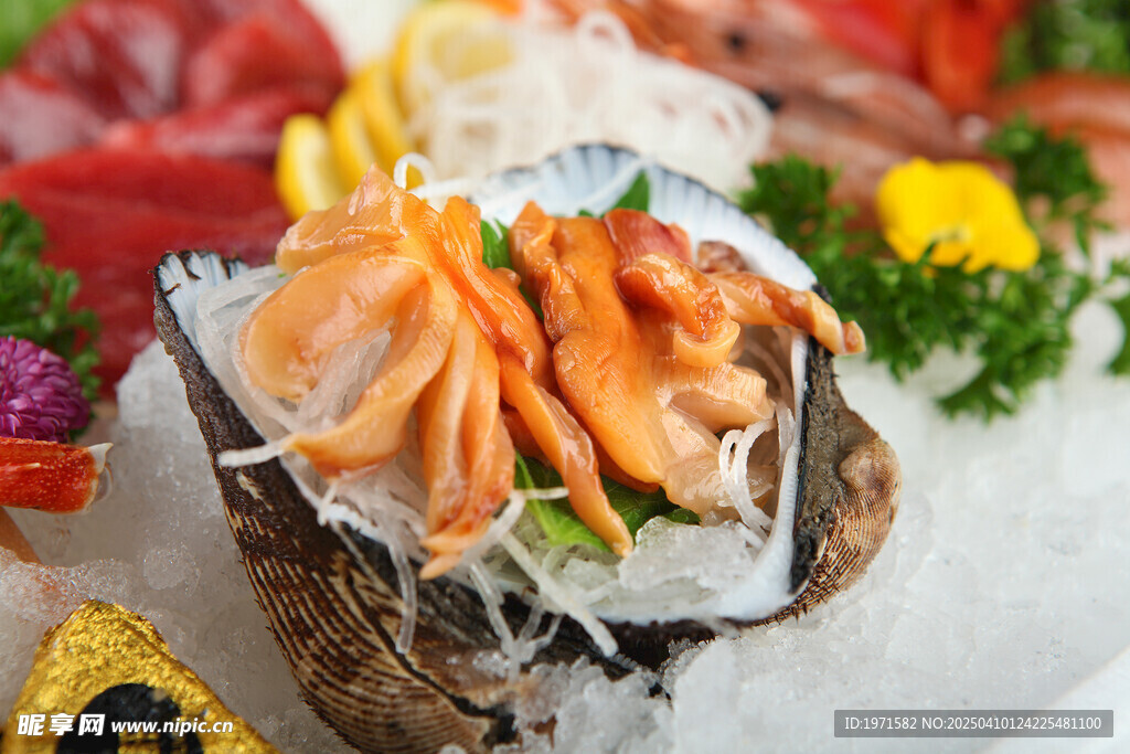 赤贝特写