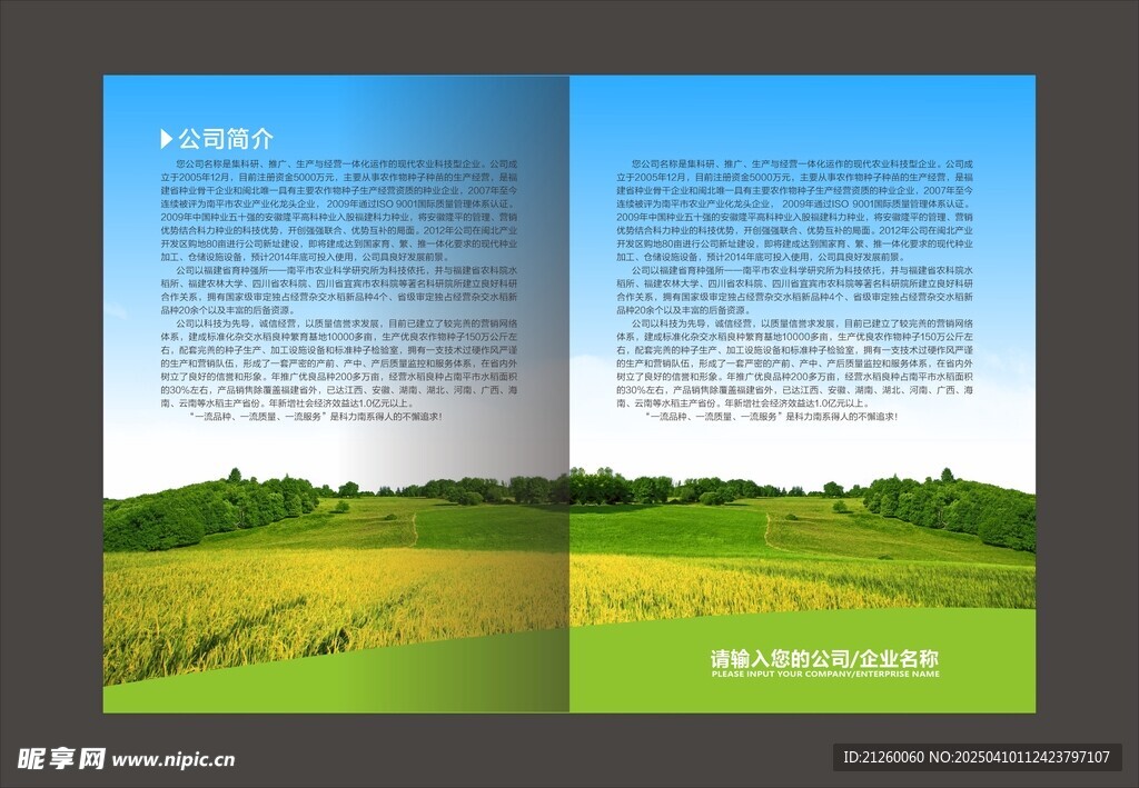 画册设计