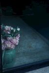 牡丹
