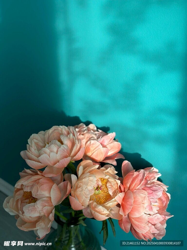 牡丹