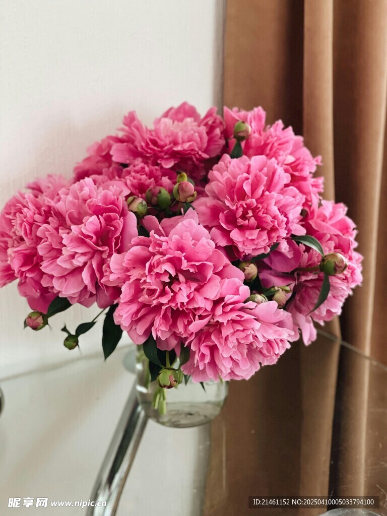 牡丹