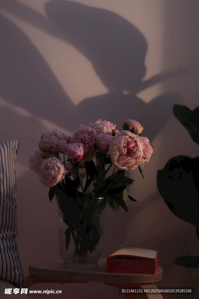 牡丹