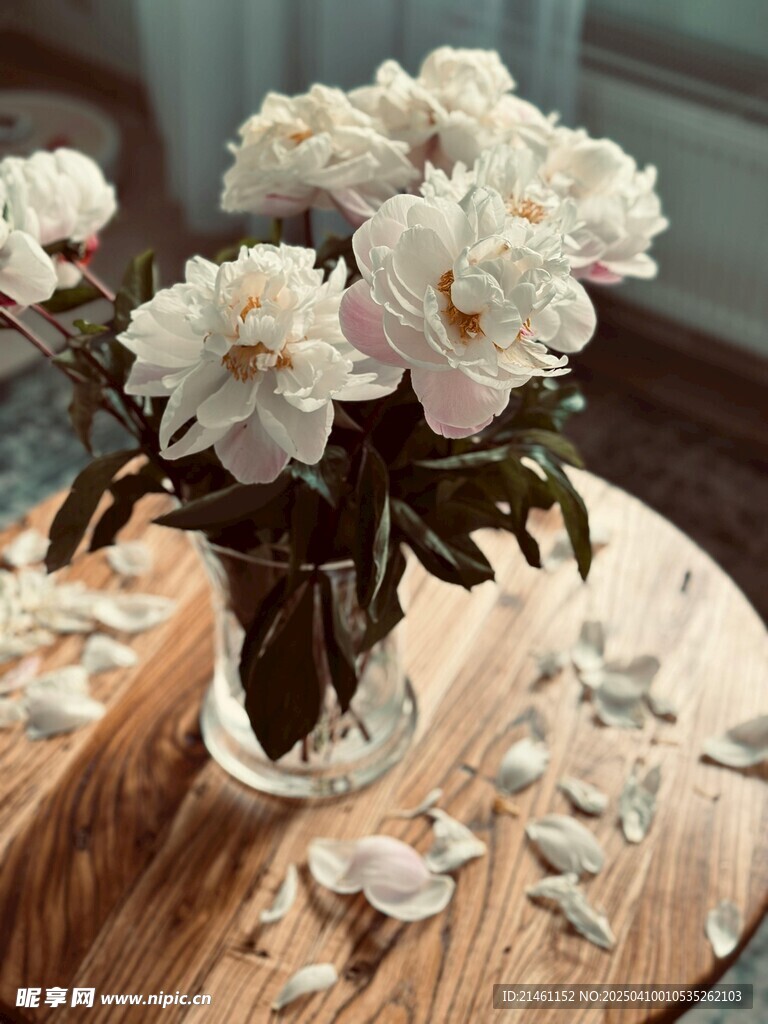 牡丹