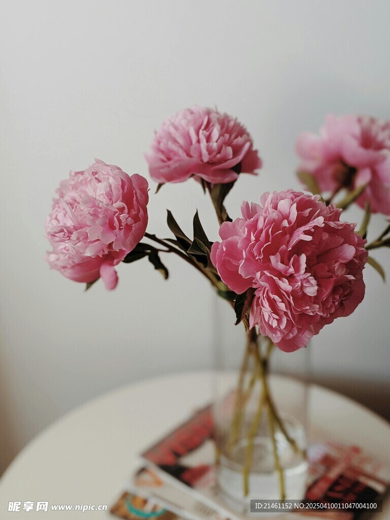 牡丹