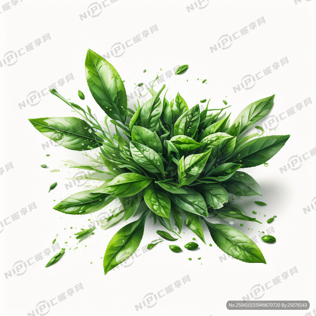 一束高清碧绿绿茶 超真实