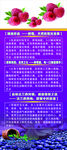 树莓蓝莓宣传展架