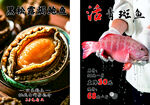 鲍鱼 石斑鱼