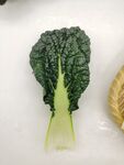 黑青菜 泡泡青