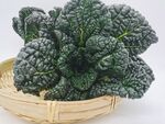 黑青菜 泡泡青