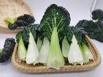 黑青菜 泡泡青