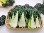 黑青菜 泡泡青