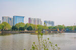 城市湖景