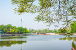 湖光树影城市景