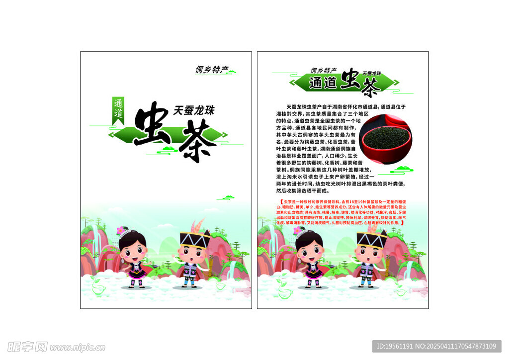 虫茶介绍卡片  天蚕龙珠虫茶