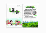 藤茶介绍卡片  