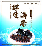 海参广告 海参海报 海参宣传