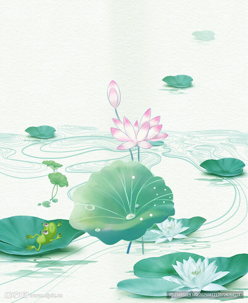 荷花
