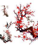 梅花