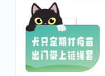 狗子