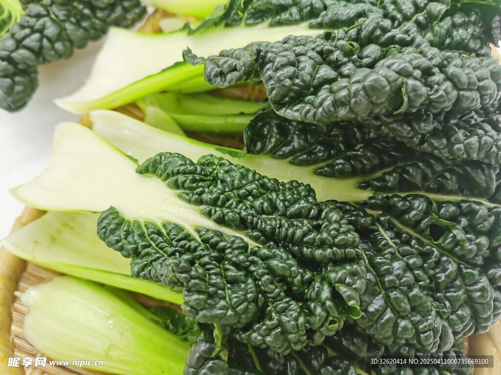 黑青菜 泡泡青
