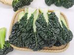 黑青菜 泡泡青