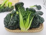黑青菜 泡泡青